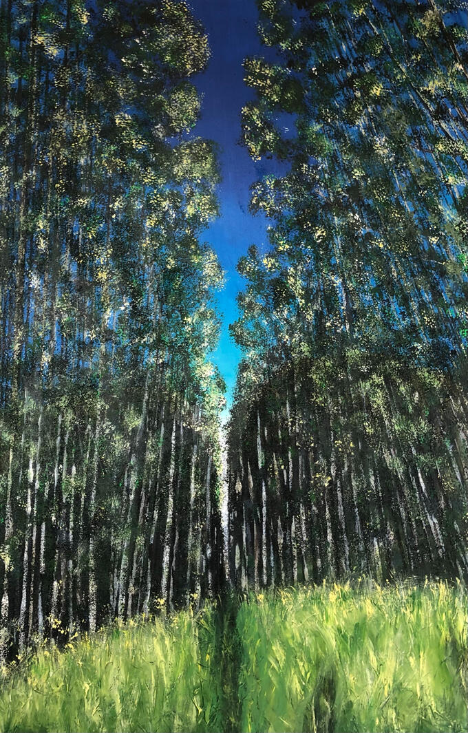 Forest Light (120 x 80 cm)
