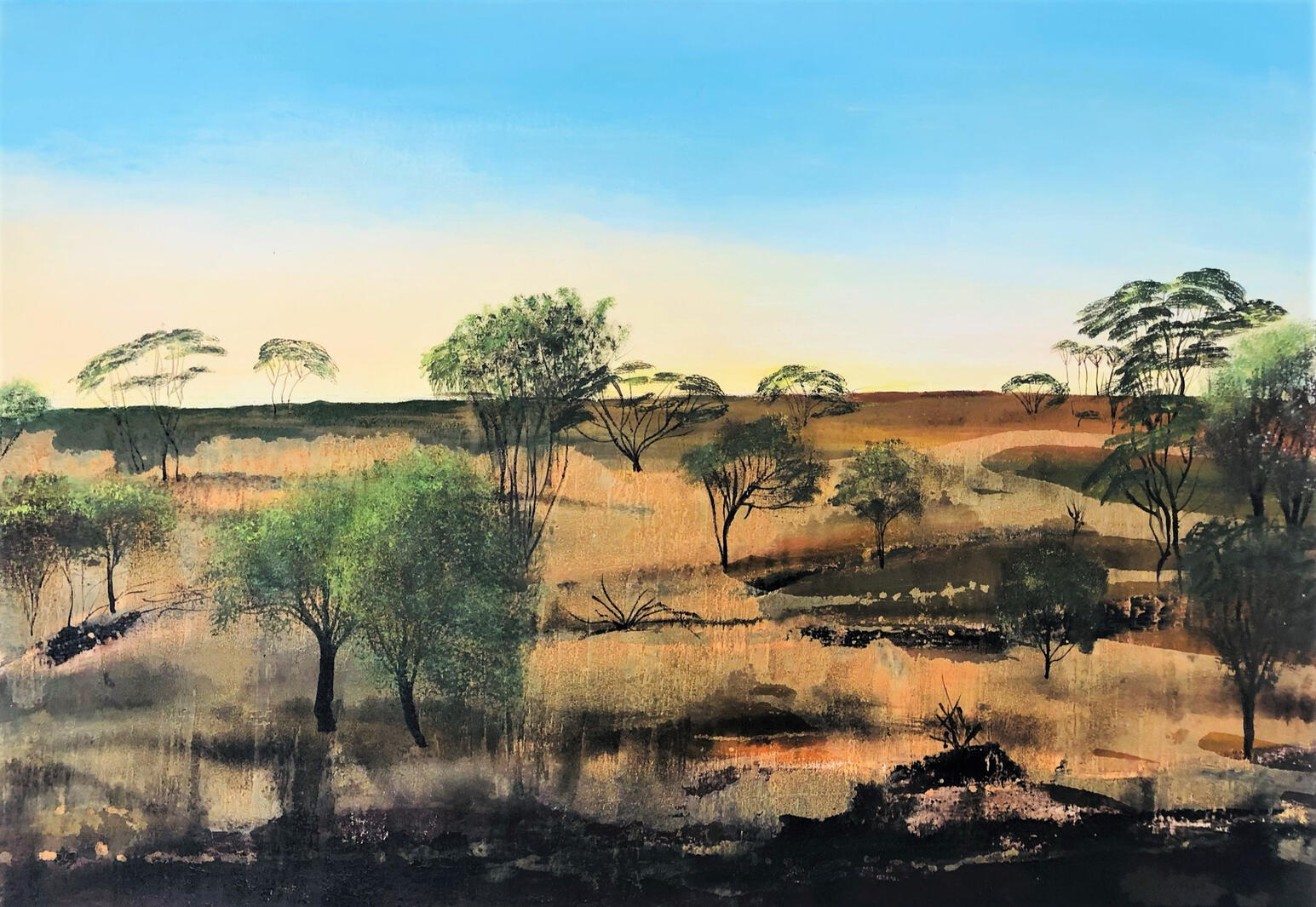 Australian Light (70 x 100 cm)